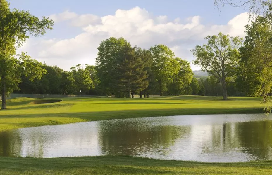 Greenbrier - Meadows: #1