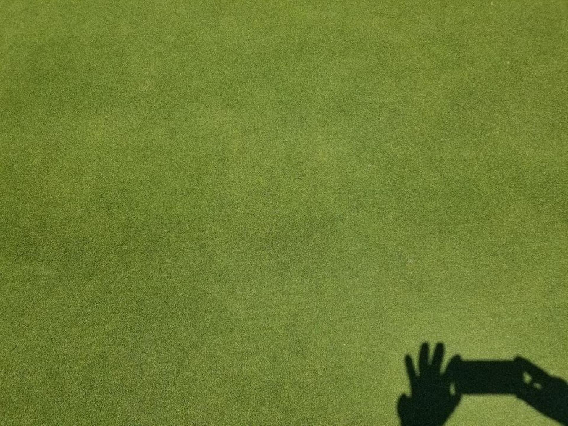 Eagle Chase has PERFECT greens! (Photo submitted by Lewwwis on 06/21/2020)