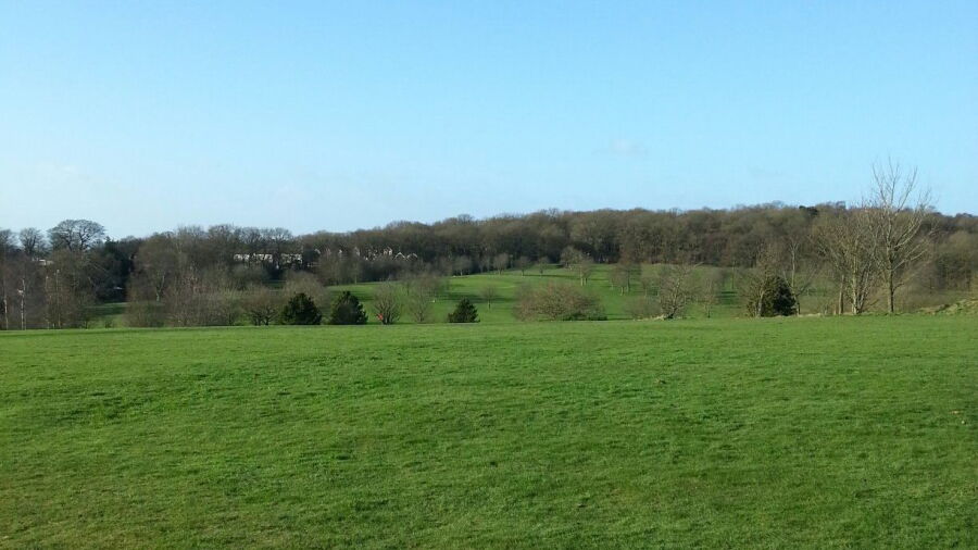 Cannock Park GC