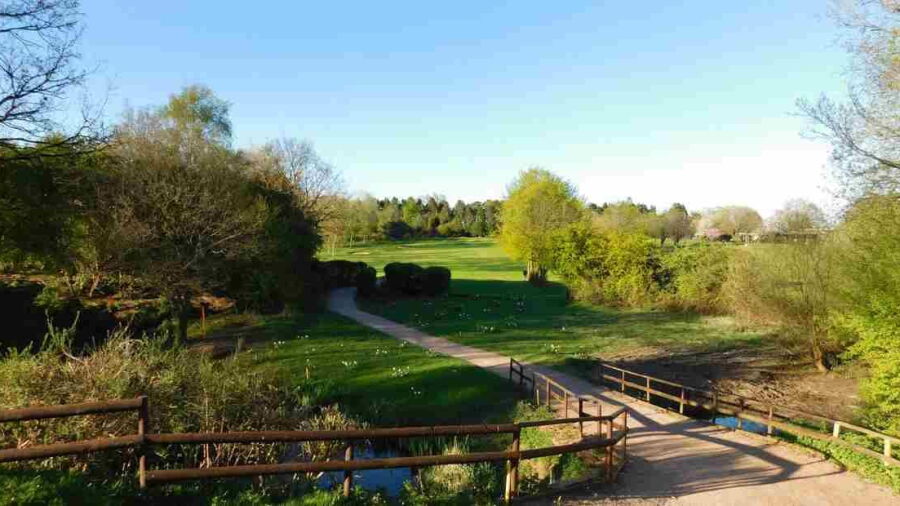Shirley GC: #18