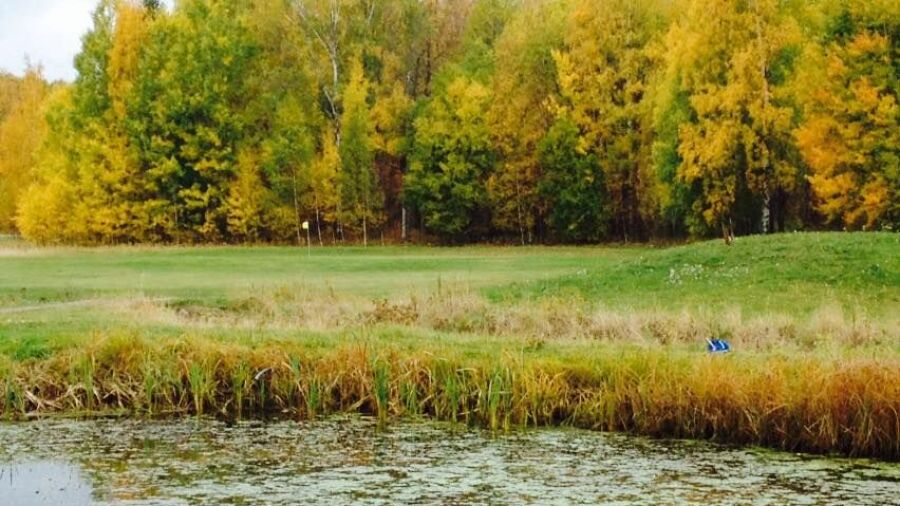 SAIK Golf - Yellow: #1