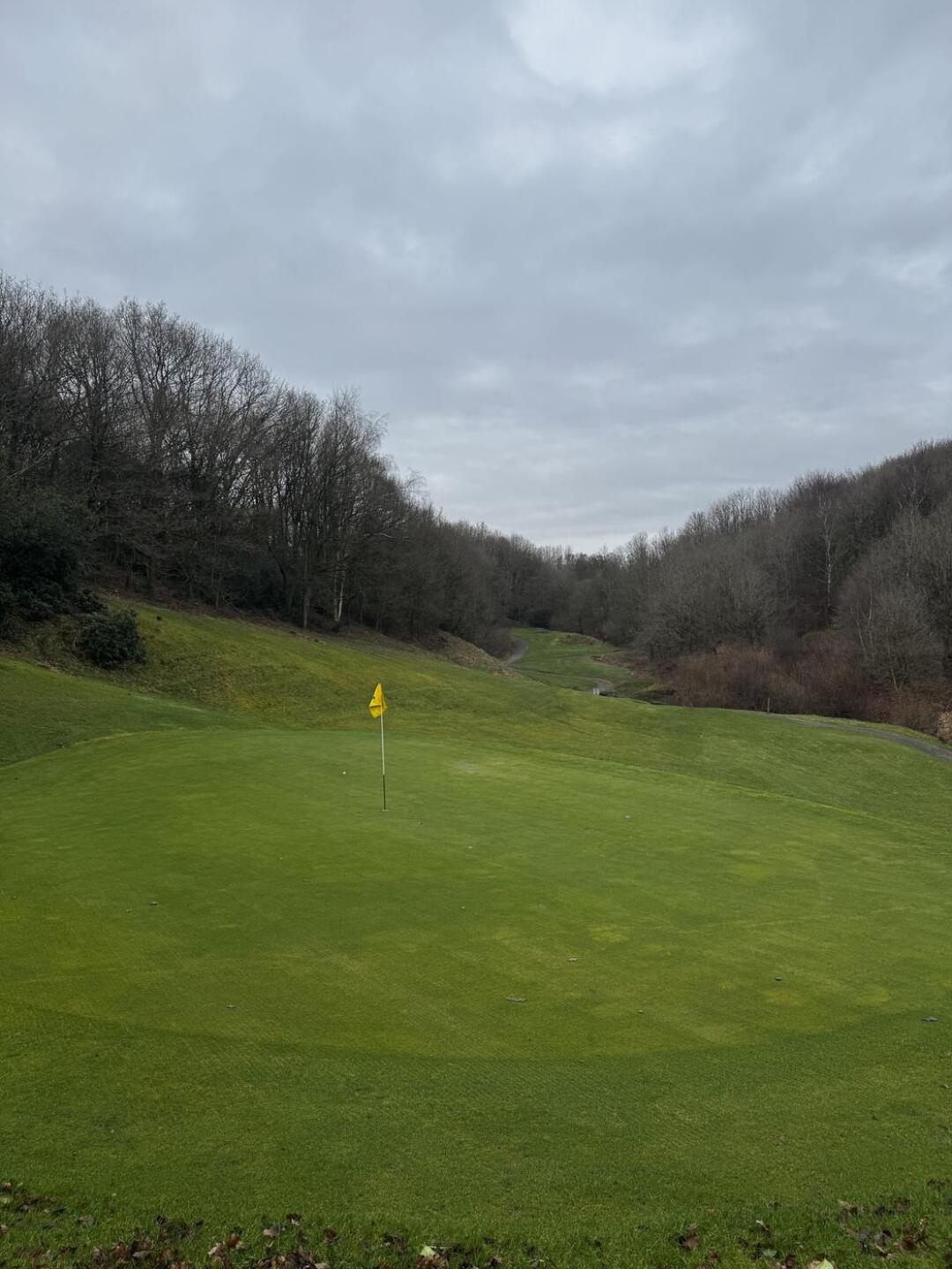 (Photo submitted by leslo62 on 02/05/2026)