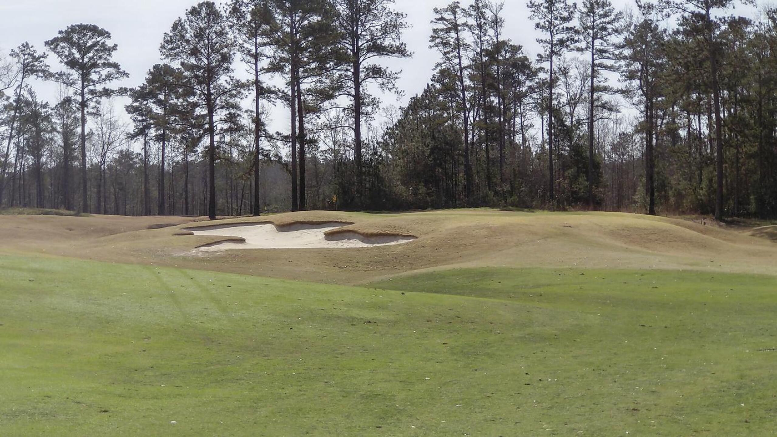 A view of the well guarded, elevated greens. (Photo submitted by JayEmm on 03/13/2021)