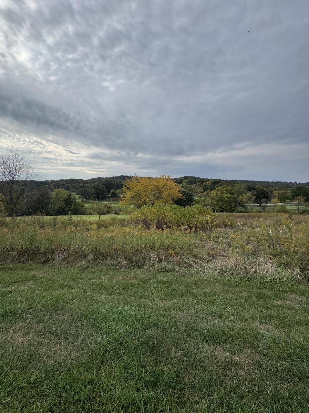 (Photo submitted by u000003622125 on 10/21/2025)