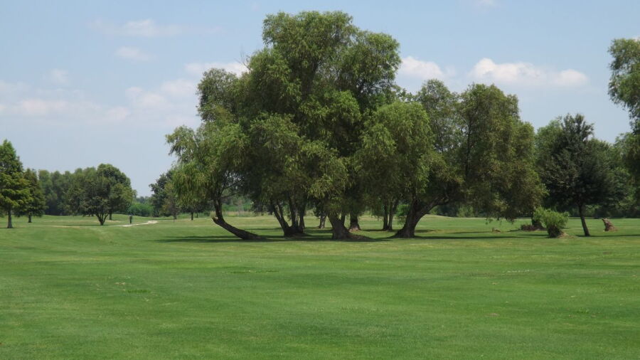 Sugarland CC