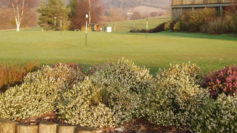 South Herefordshire GC: Practice area