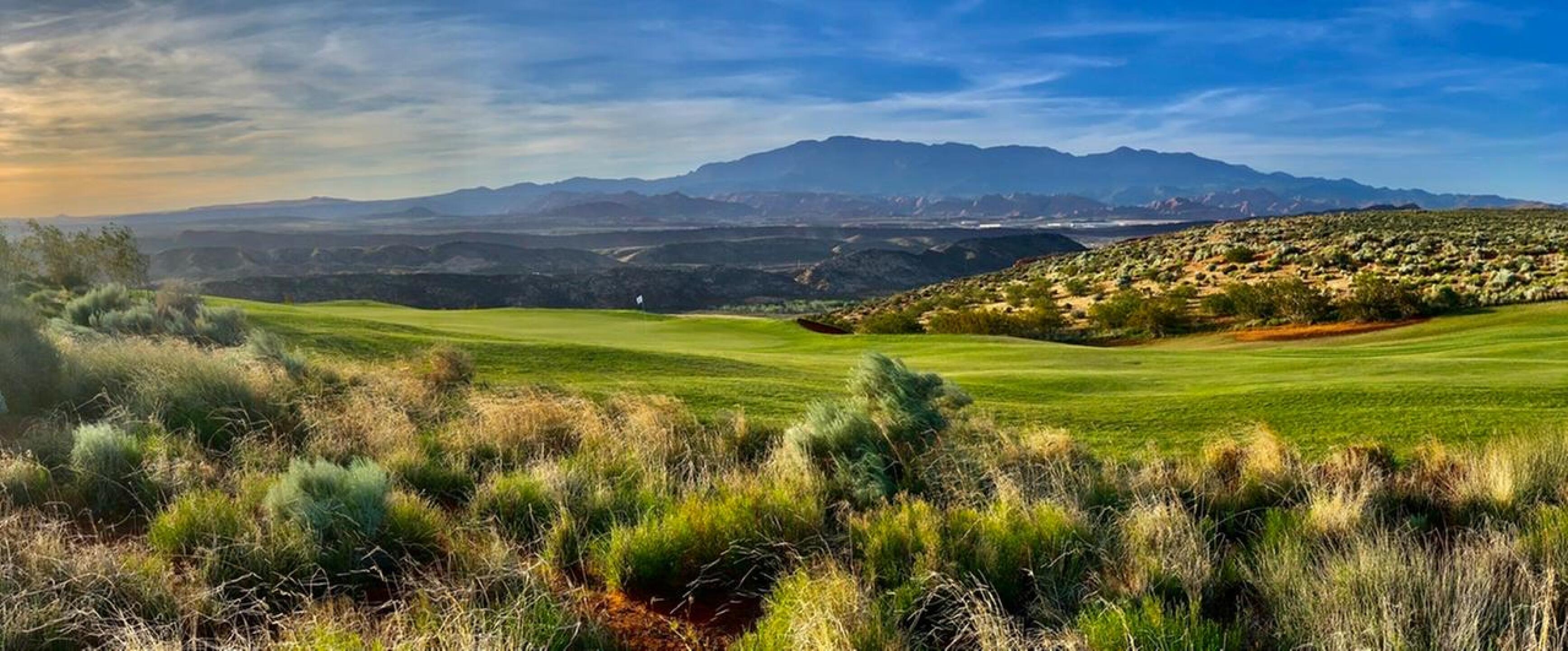 (Photo submitted by arguswilson on 05/08/2020)