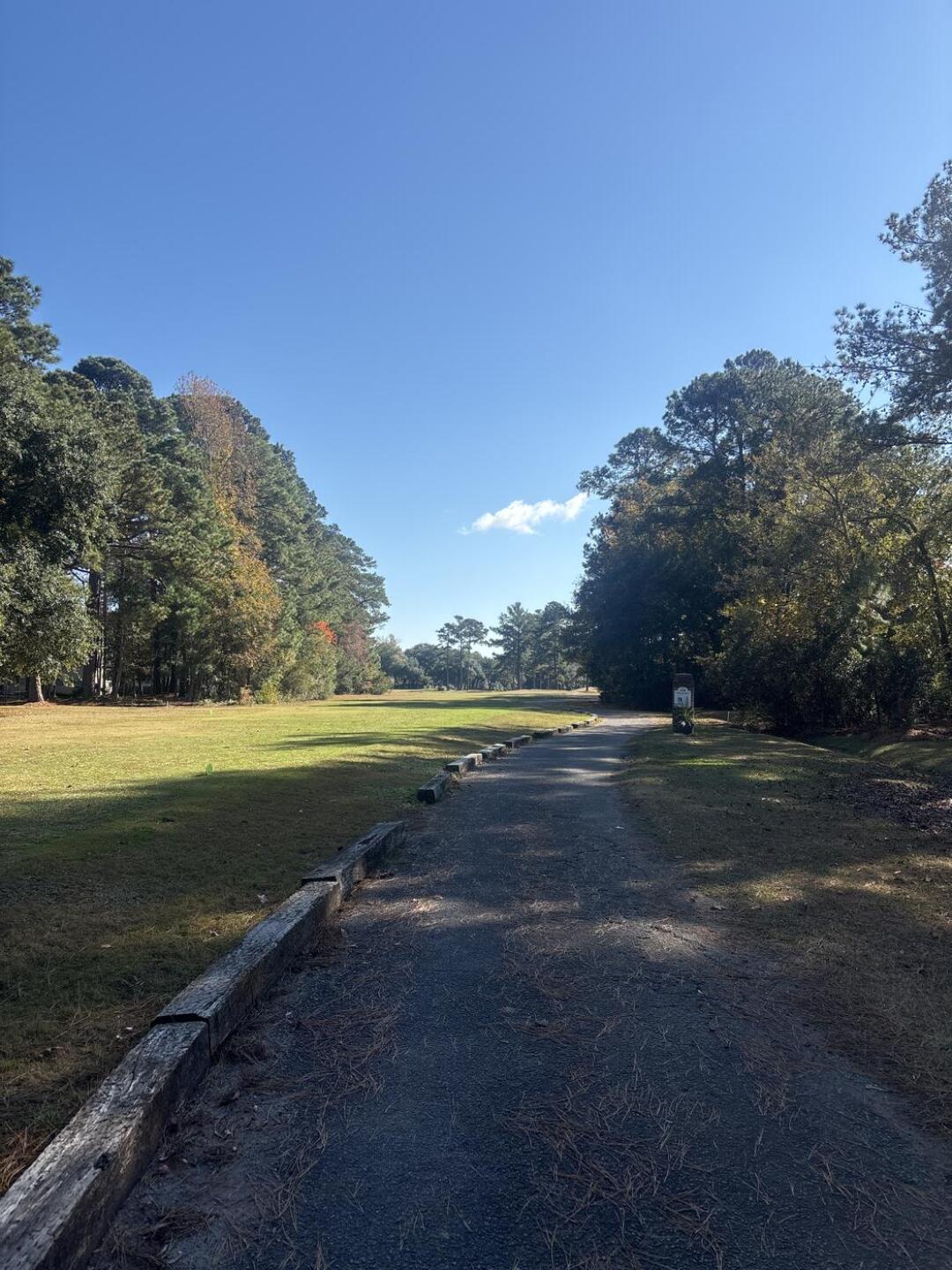 (Photo submitted by brainresearch22 on 11/23/2025)