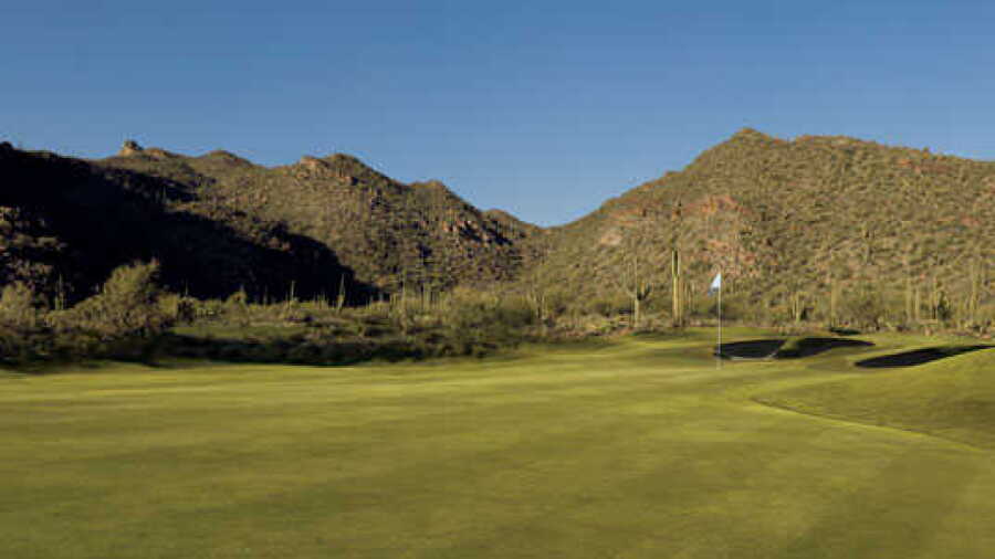 The GC at Dove Mountain - Wild Burro