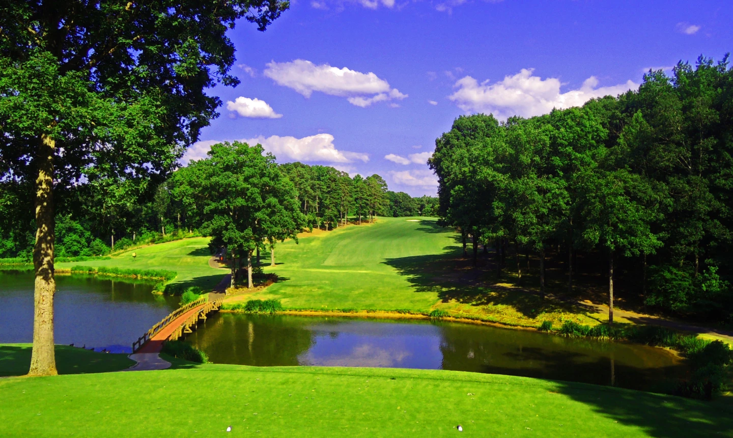 University of Georgia G.C.