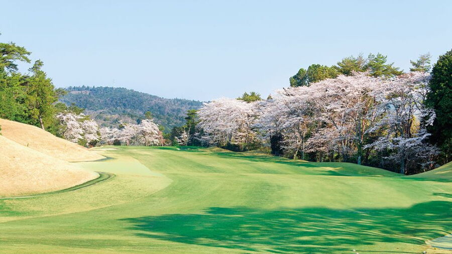 Hamamatsu CC: #5