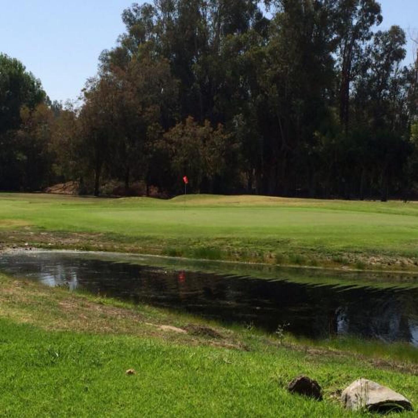 #9 green (Photo submitted by robert9796127 on 06/25/2014)