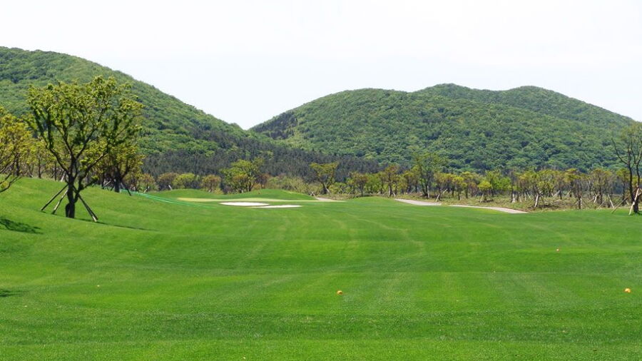 Elysian CC Jeju - Campo: #1