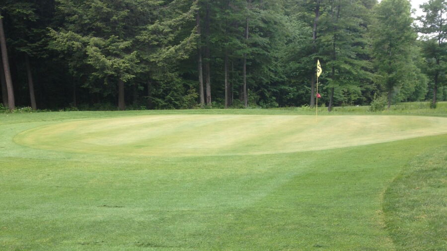 Beechwood GC