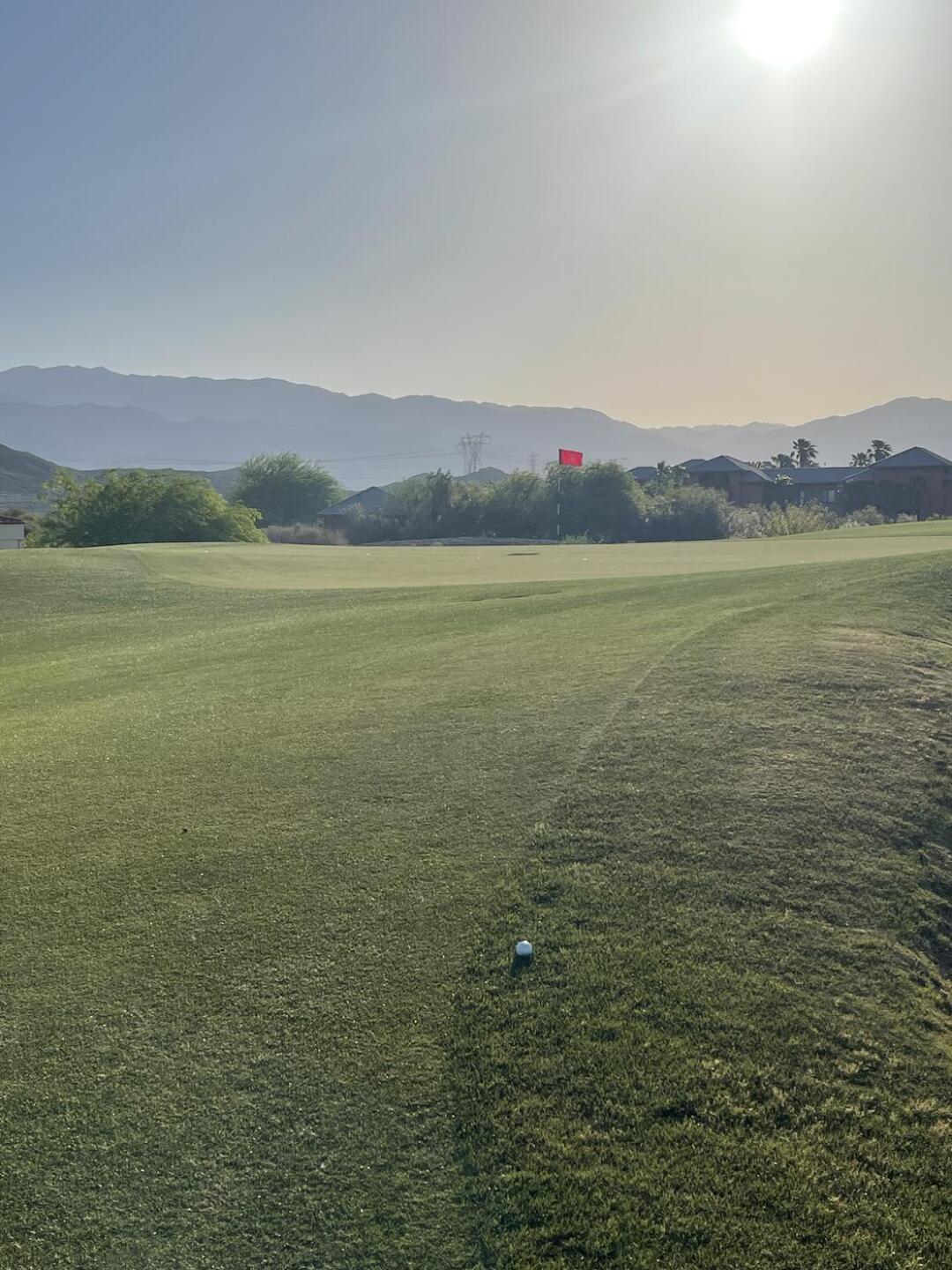 (Photo submitted by Bigpunch8 on 05/19/2023)