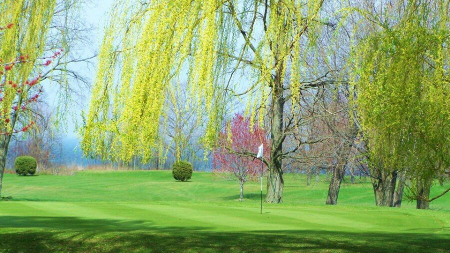 Sugar Hill GC: #7