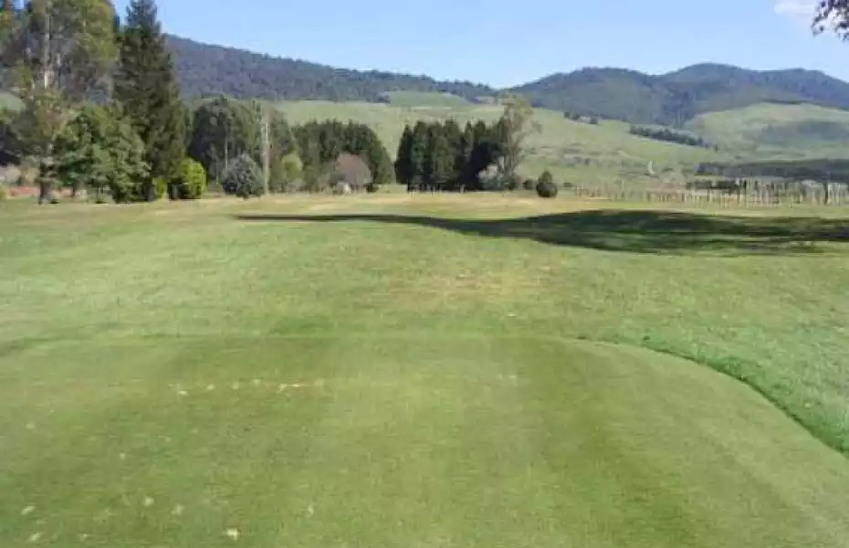 Turangi GC: #3