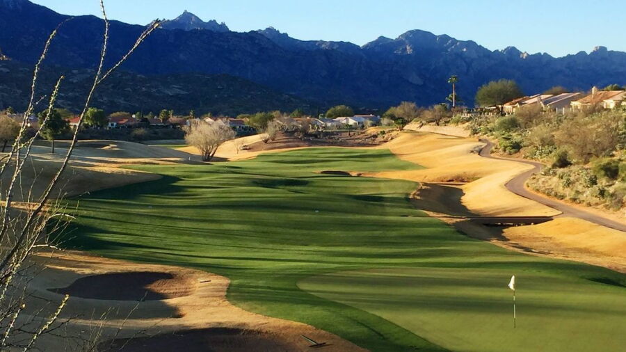 SaddleBrooke CC