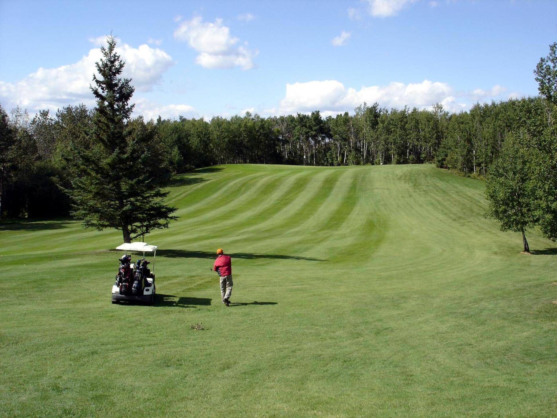 Spiritwood Golf Club, Hole 1, Par 4, 325 yds (Photo submitted by DYakimec on 03/28/2020)
