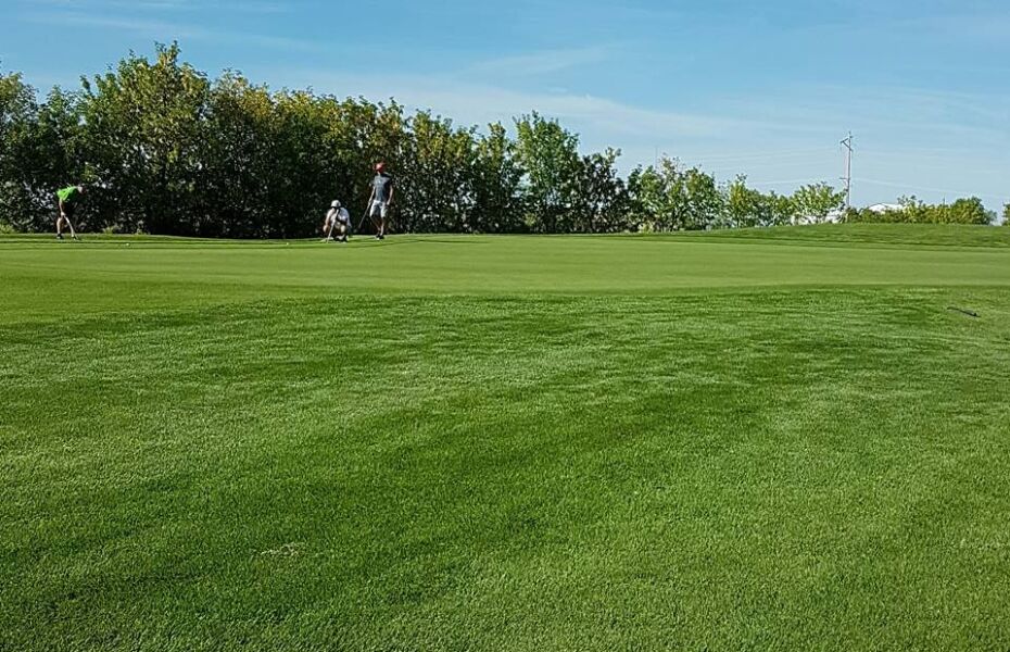 Meadow Lake Golf Club in Meadow Lake, Saskatchewan, Canada GolfPass