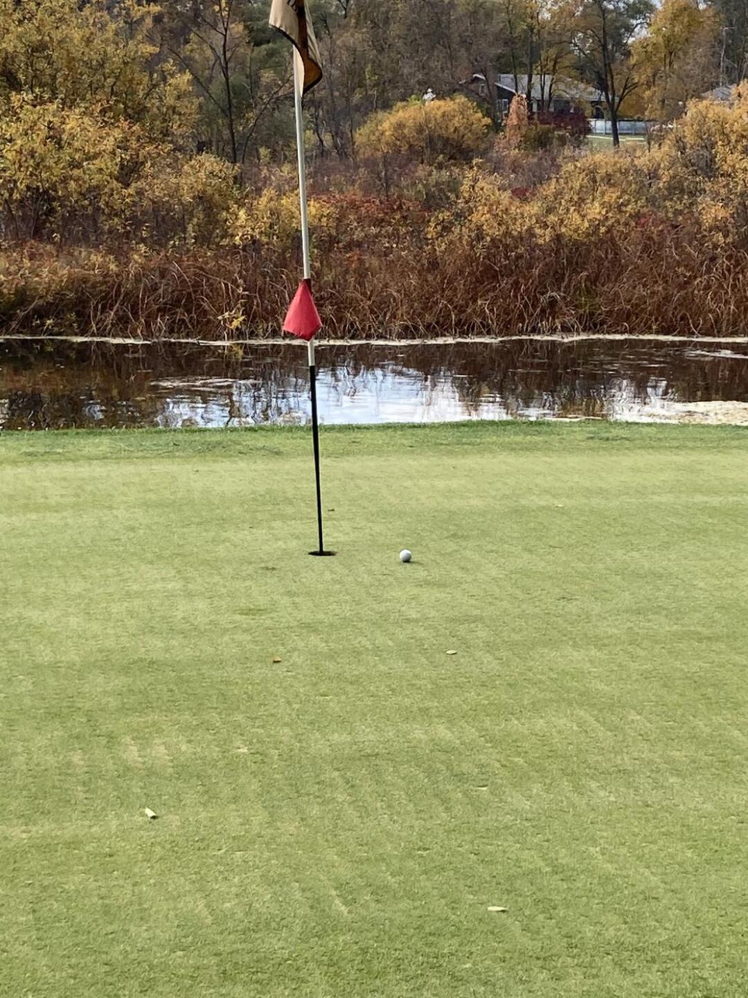Tap in bird on #11 (Photo submitted by Dan7790734 on 10/25/2022)