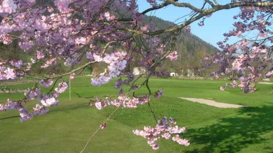 Walchsee Moarhof an der Schwemm GC