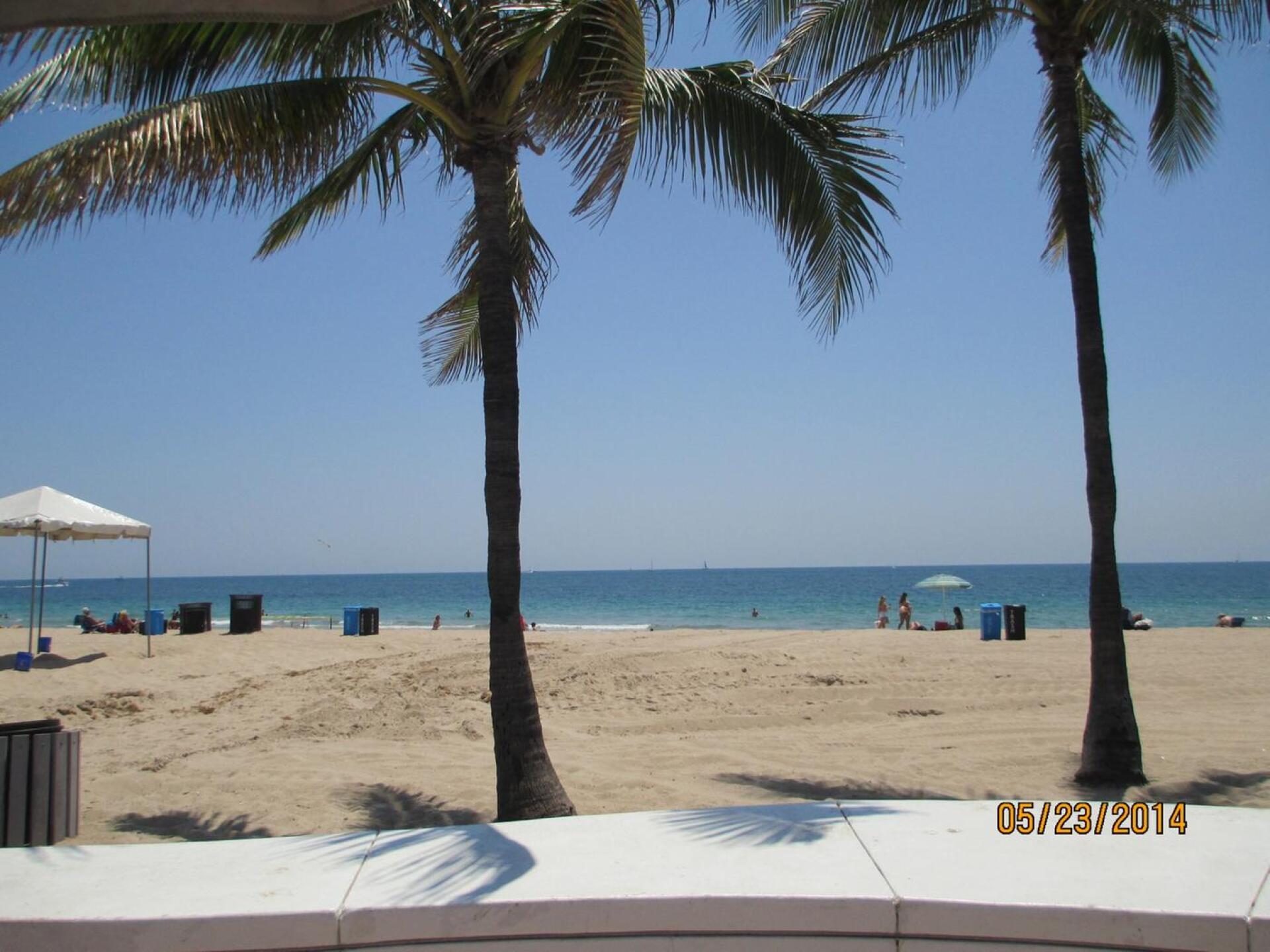 (Photo submitted by u3348905 on 02/11/2020)