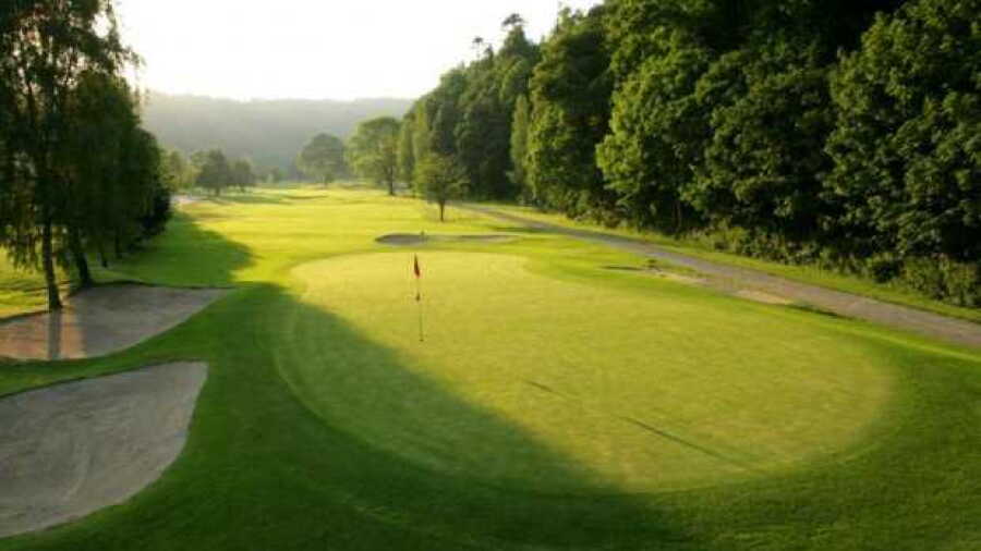 Woodenbridge GC: #4