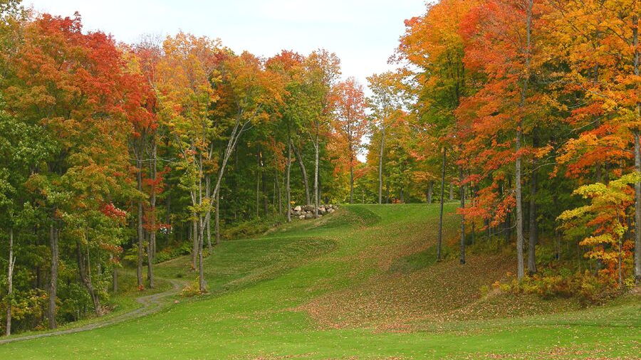 Skye GC: #17