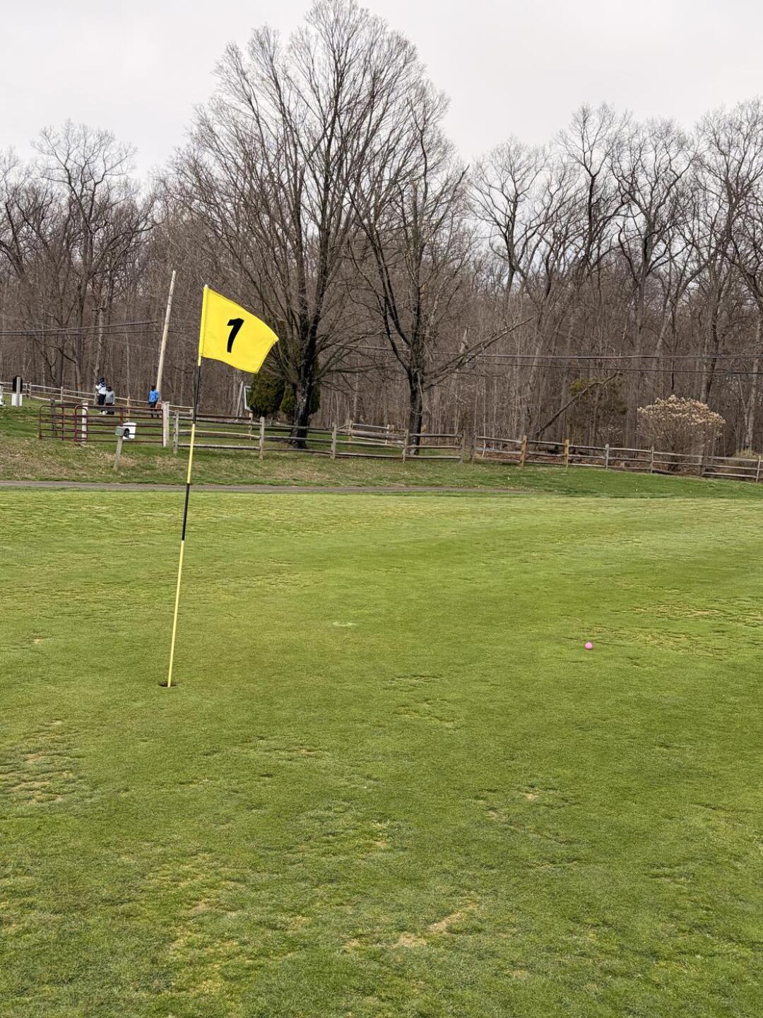 (Photo submitted by gn33578982 on 04/09/2026)