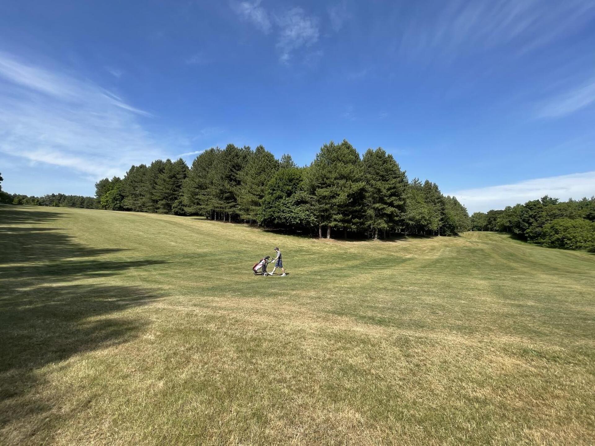 (Photo submitted by rossangeles on 06/17/2022)