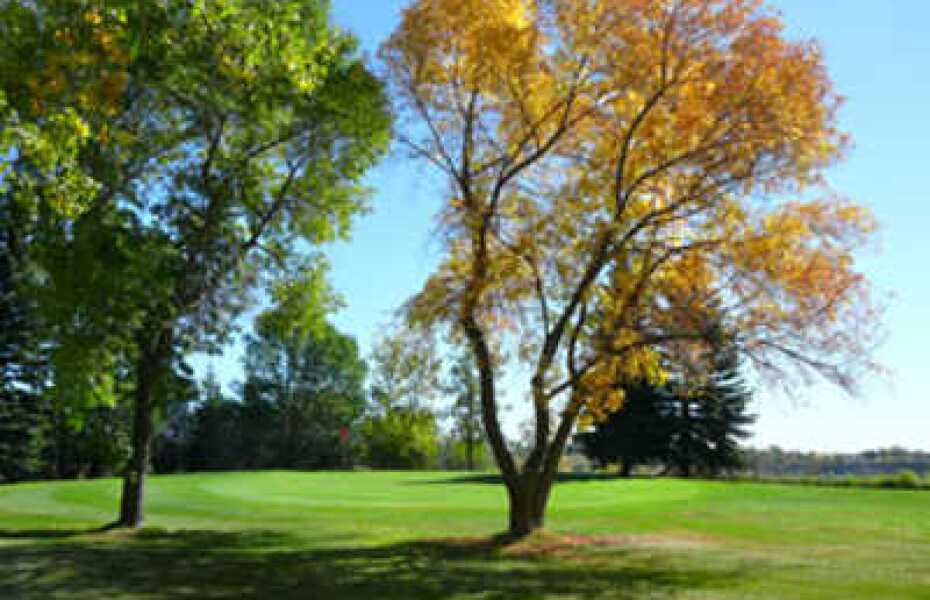 Lakeview Golf Course in Calgary, Alberta, Canada Golf Advisor