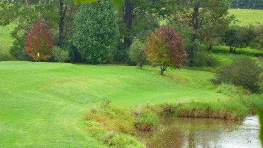 Dorrigo Memorial RSL GC