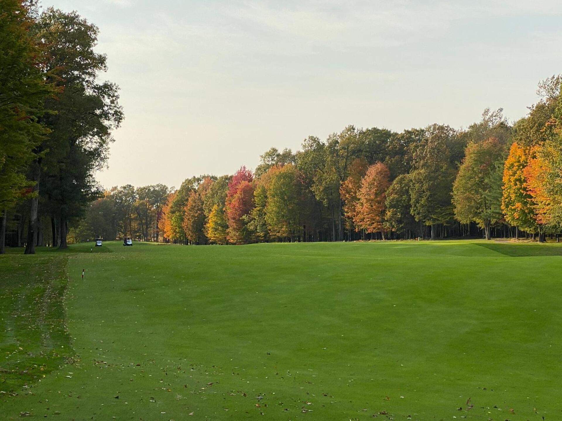 (Photo submitted by u000007354567 on 10/10/2020)