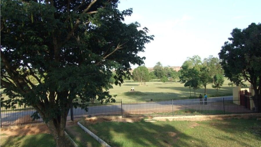 Rayfield GC: #10