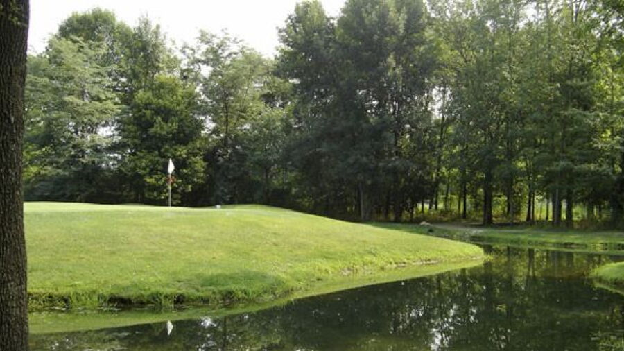 Gray Eagle GC