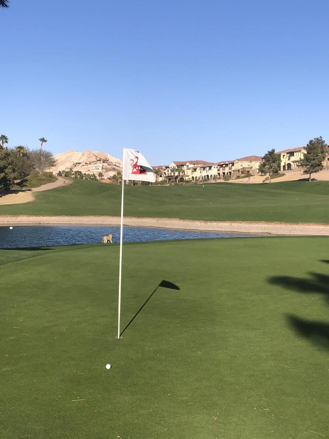 (Photo submitted by jett2ivyy on 03/30/2021)