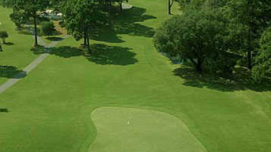 Dolphin Head GC: #12