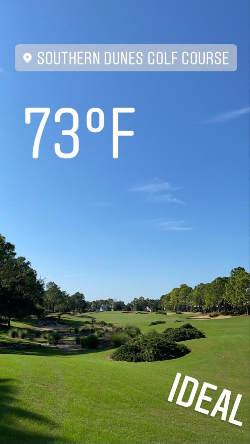 (Photo submitted by u314159715952 on 12/07/2020)