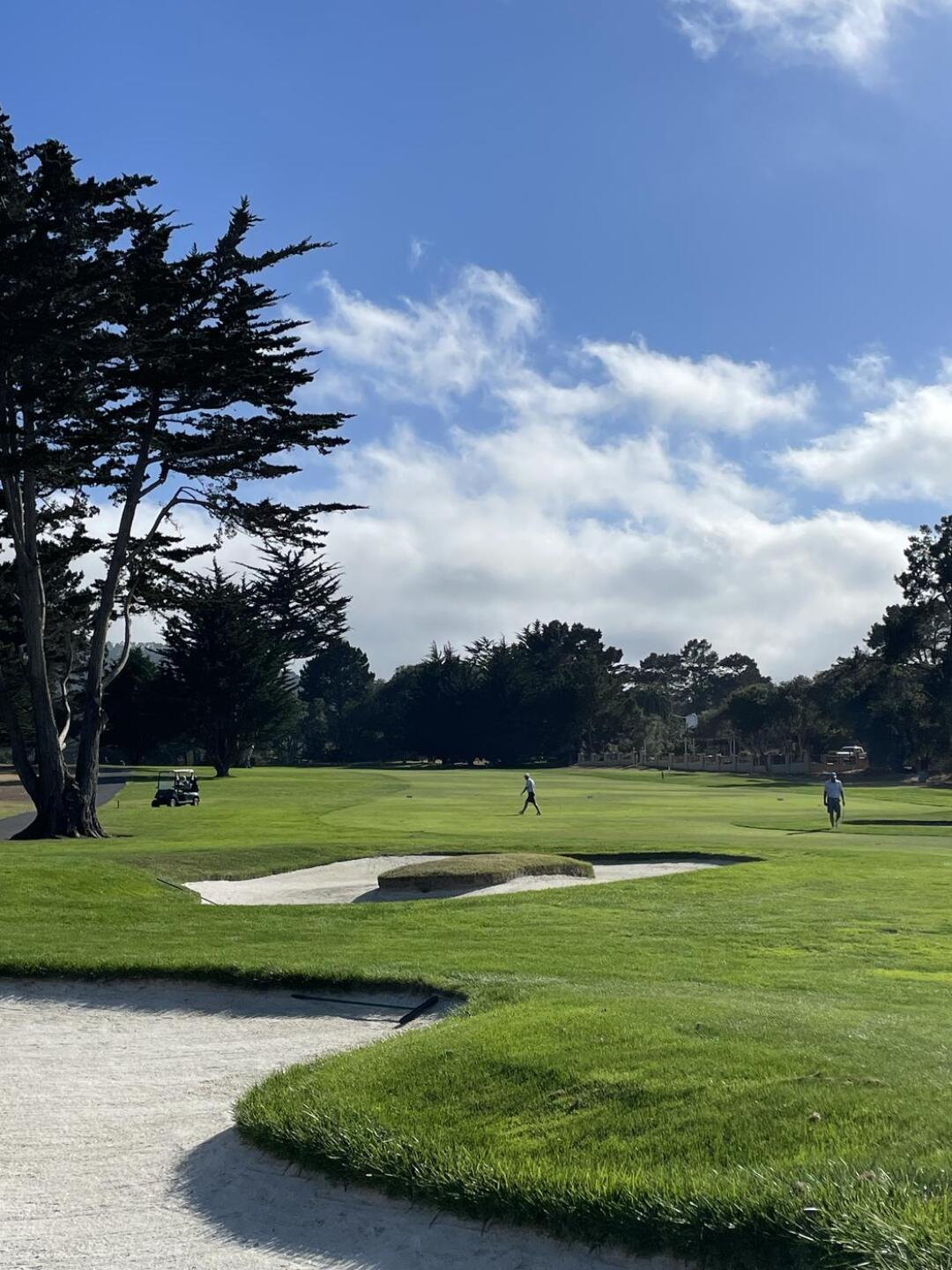 How many turkeys do you see? (Photo submitted by pserf on 09/14/2023)