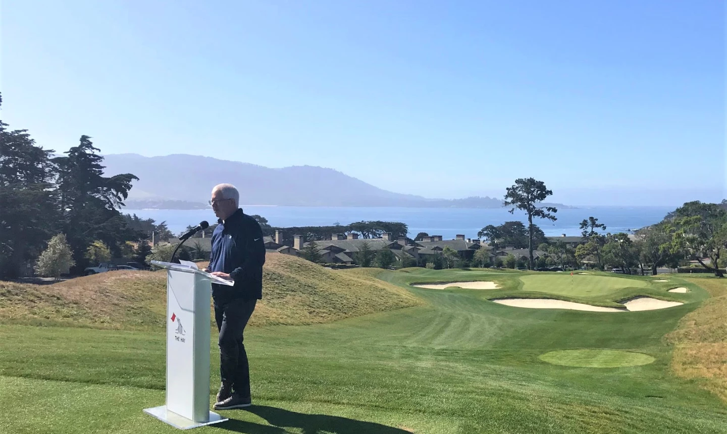 The Hay - David Stivers