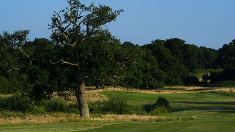 Waterloo at Sherfield Oaks: #1