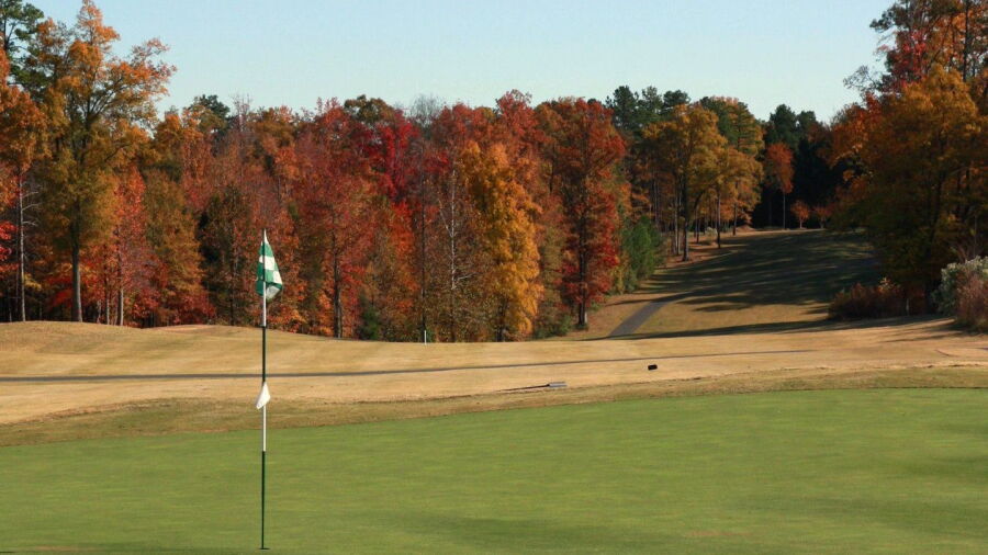 Tradition GC