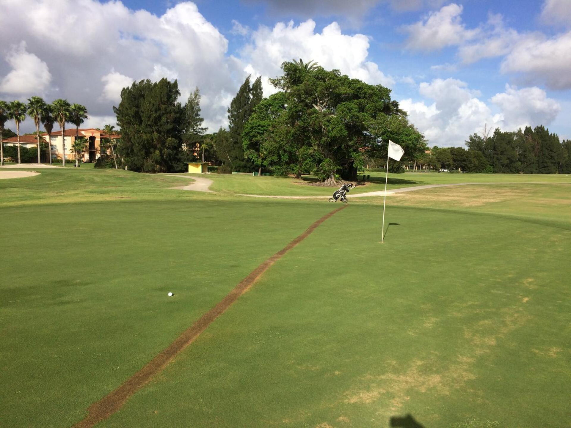 someone messed the green #1 (Photo submitted by Tripa78 on 01/03/2017)
