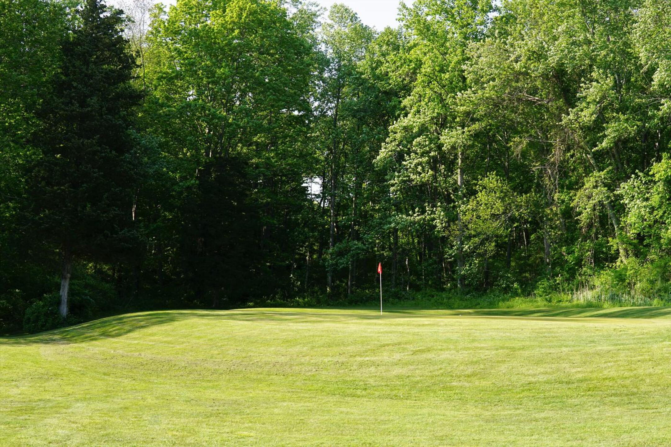 Another view of green fifteen from its right flank. (Photo submitted by AptlyLinked on 05/20/2023)