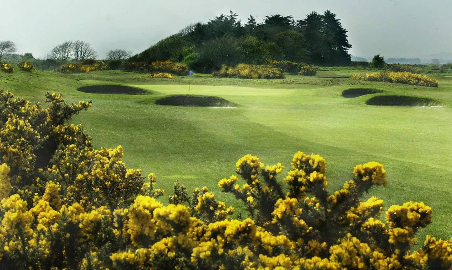 Seapoint Golf Links: #13