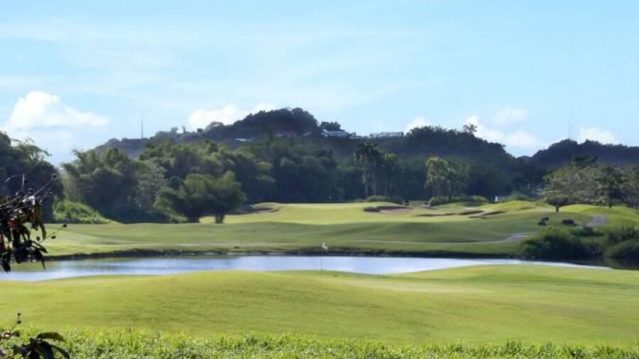Las Bambuas GC: #2, #4