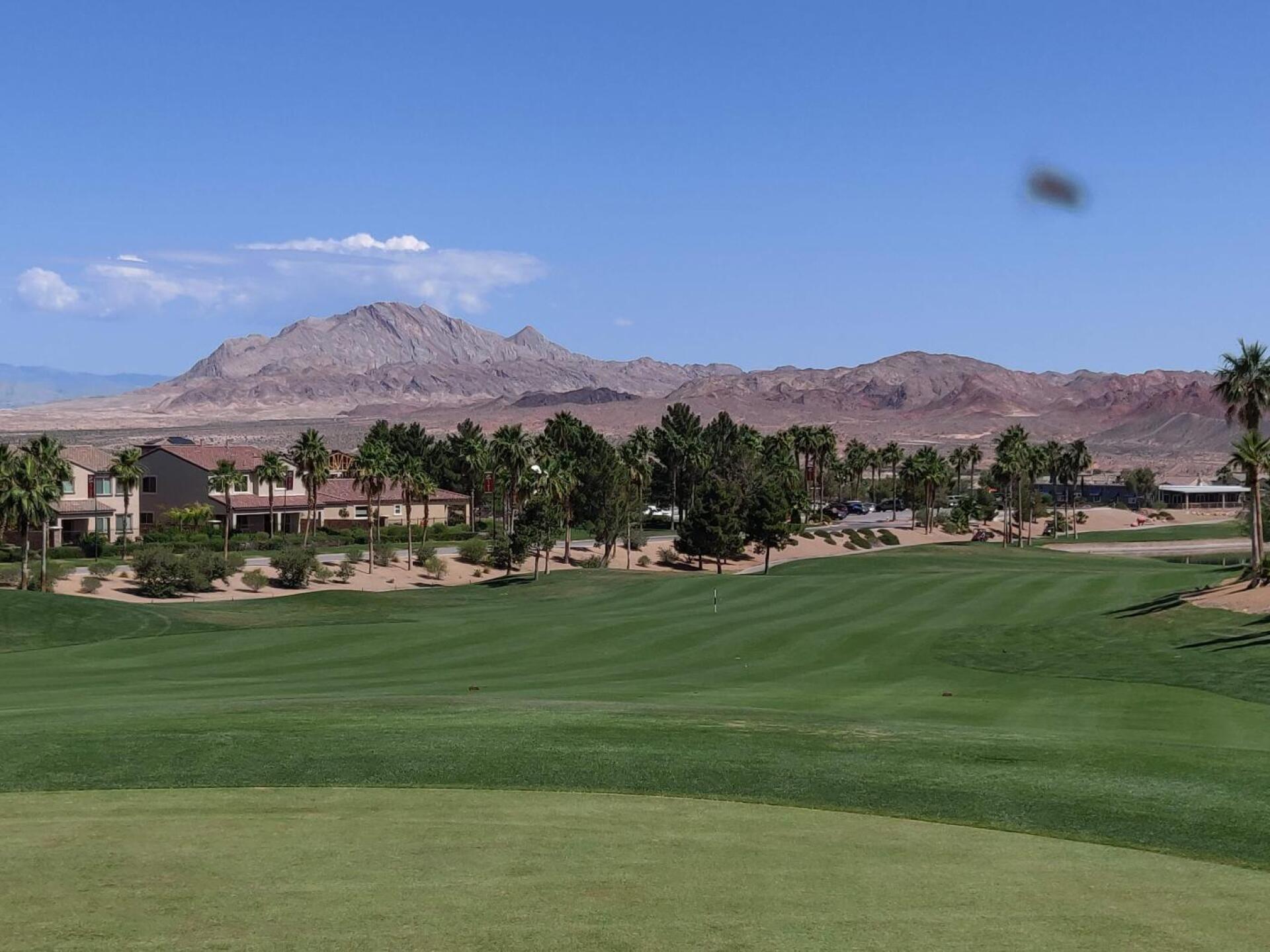 (Photo submitted by Wesparkey on 06/23/2019)