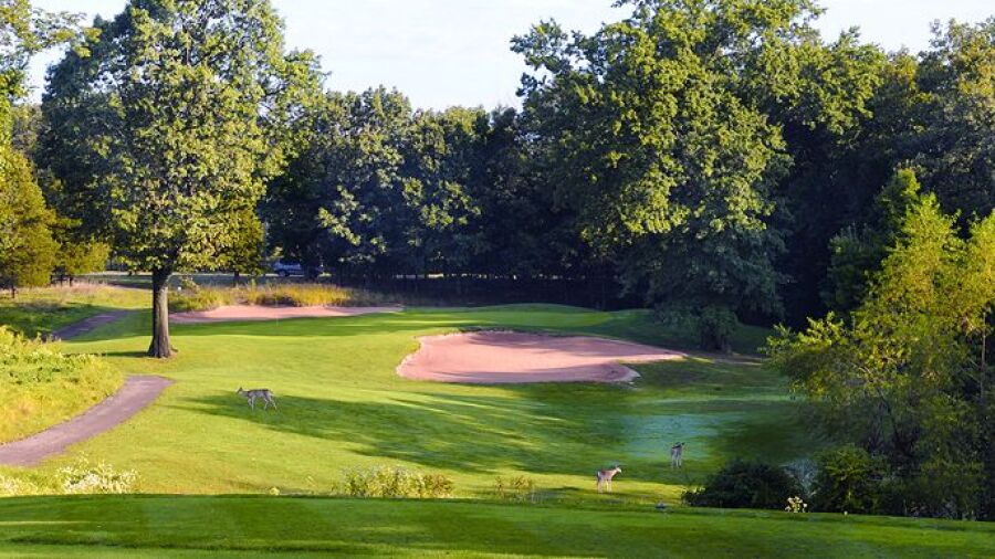 Quail Brook GC: #11
