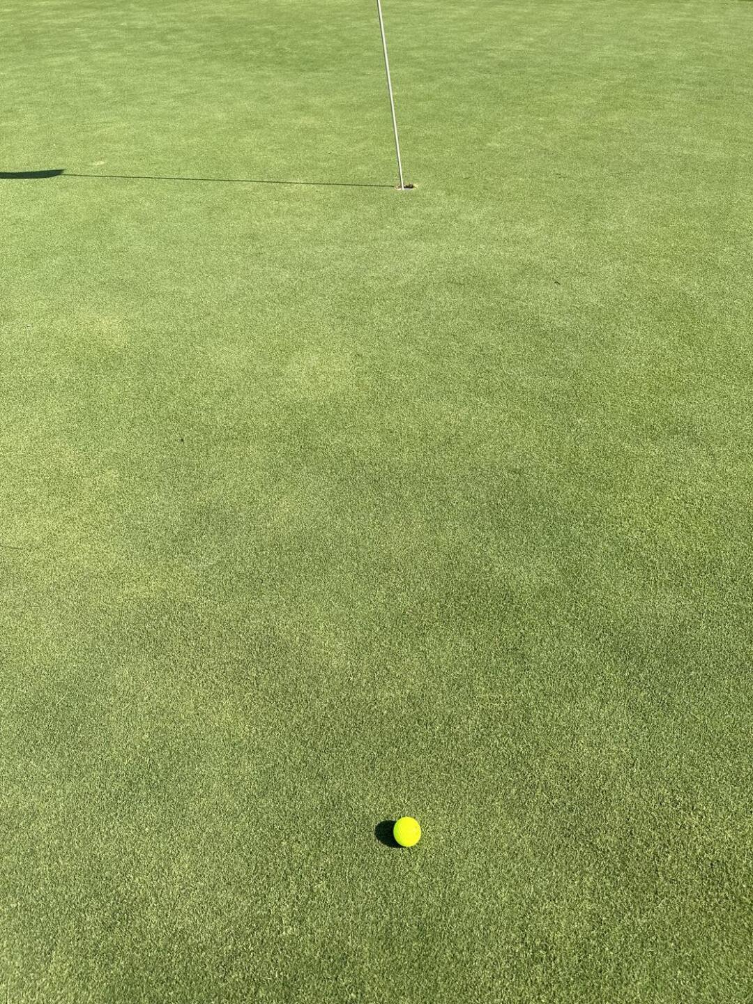 (Photo submitted by Momomonsta on 06/30/2023)